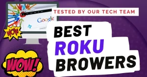 Read more about the article 7 Best Roku Web Browsers in 2024 (Installation and How to Use)